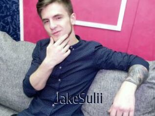 JakeSulii