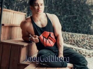 JoeyGoldberg