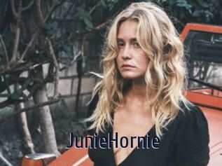 JunieHornie