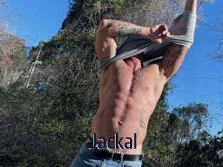 Jackal
