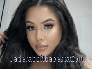Jaderabbitbabestation