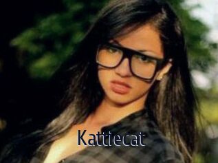 Kattiecat