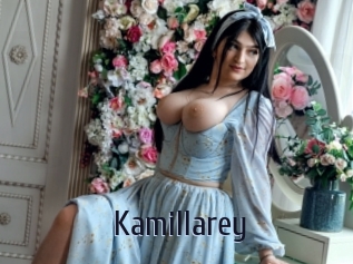 kamillarey Topp Finder