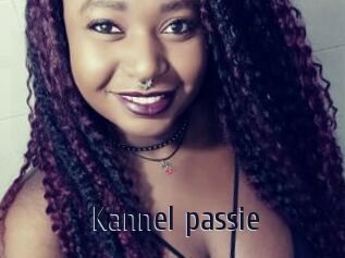 Kannel_passie