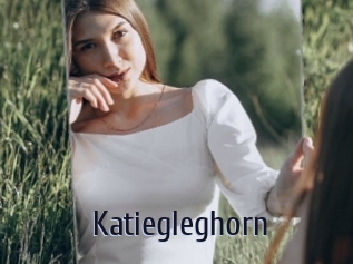 Katiegleghorn