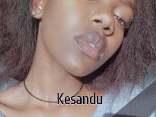 Kesandu