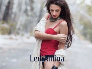 LediAmina