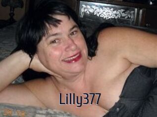 Lilly377