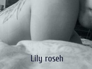 Lily_roseh