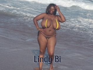 Lindy_Bi Topp Finder