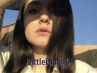 LittleBunnyX