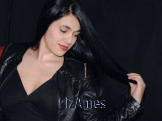LizAmes