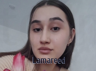 Lamareed
