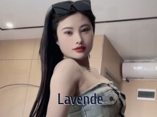 Lavende