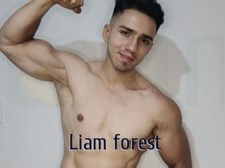 Liam_forest