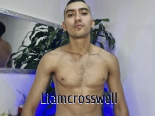 liamcrosswell Topp Finder