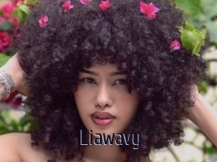 liawavy Topp Finder