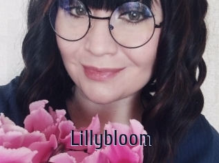 Lillybloom