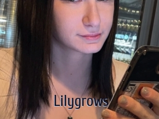 Lilygrows