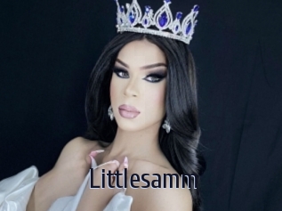 Littlesamm