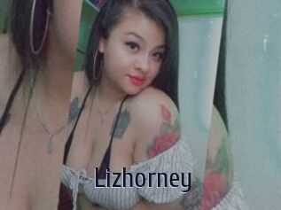 Lizhorney