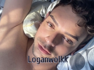loganwolkk Topp Finder