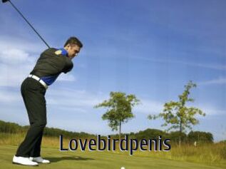 Lovebirdpenis