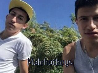 Malehotboys