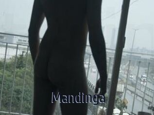 Mandinga