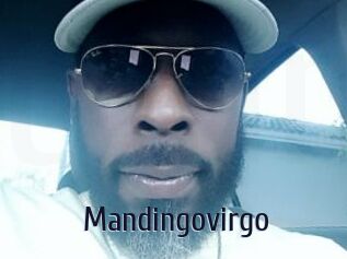 Mandingovirgo