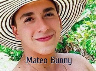 Mateo_Bunny