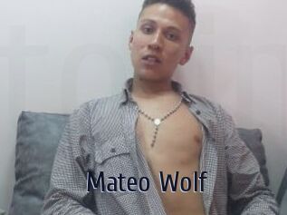 Mateo_Wolf