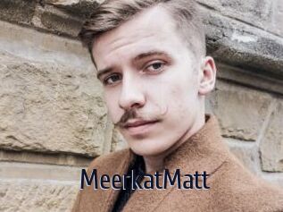 MeerkatMatt