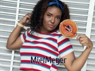 MielMeyer Topp Finder