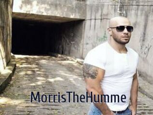 MorrisTheHumme