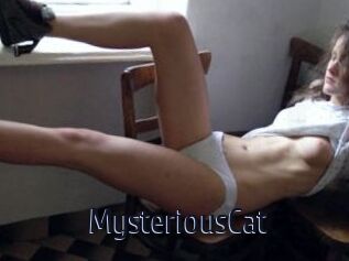 MysteriousCat