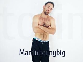 Martinhornybig