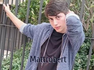 Mattrobert