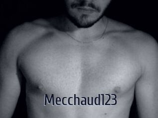 Mecchaud123