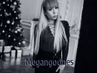 Megangodnes