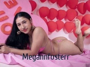 Megannfosterr