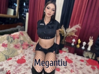 megantiu Topp Finder