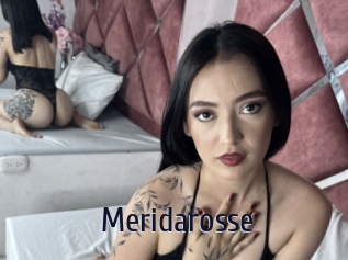 Meridarosse