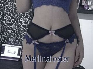 Merlinafoster