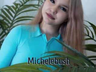 Michelebush