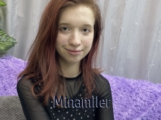 Minamiler