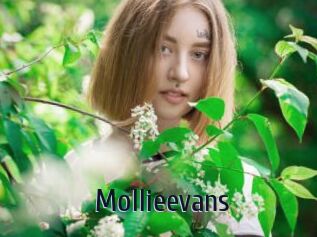 Mollieevans