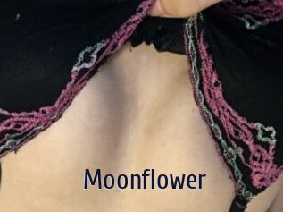 Moonflower