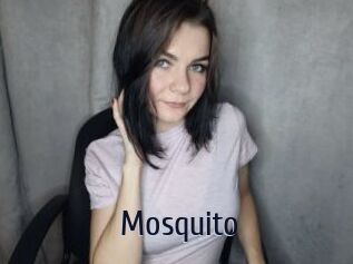 Mosquito
