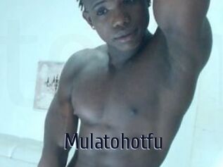 Mulatohotfu